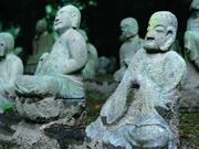 �ˌ��R���ގ��̎ʐ^2