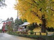 ���R�_�Ђ̎ʐ^1