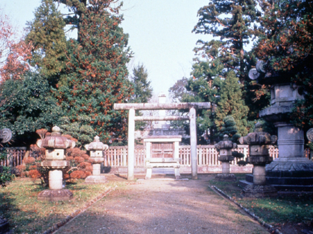 �O�c�����揊