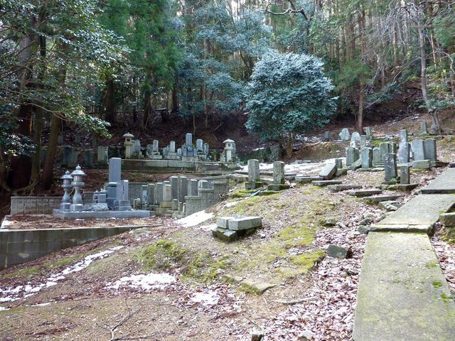 �R��o���q�揊