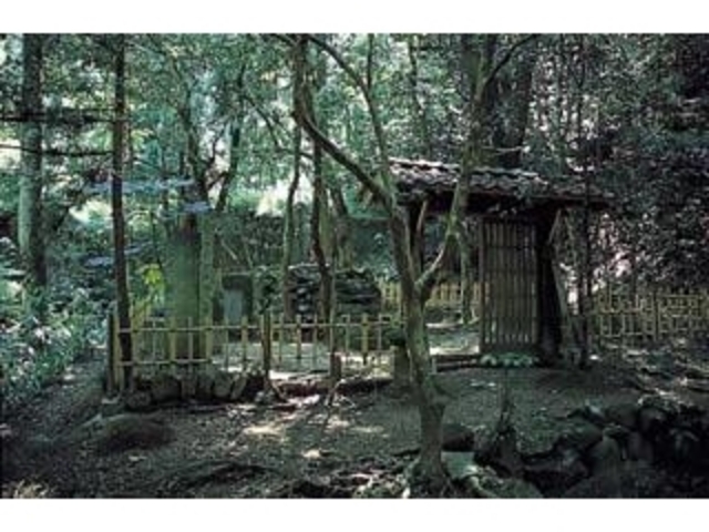 �����l�˂ƒǕ���̎ʐ^1