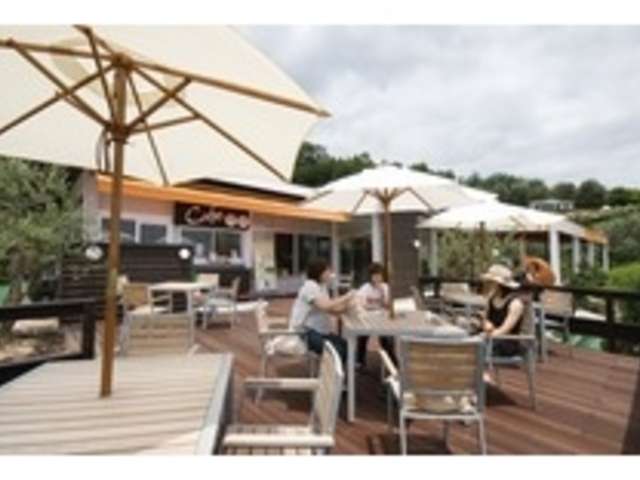 VĈ̓EbhfbLŁuI[u\tgN[v_I[u