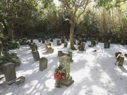 ���l��n�̎ʐ^1