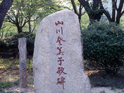 �R��o���q�̔�̎ʐ^1