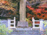 �~�c�_�l��̎ʐ^1