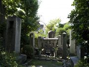 ���䌓���̕�̎ʐ^1