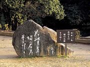 �����O�S�̋��̎ʐ^1