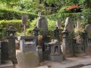 �g�c���A�̕�y�ѕ揊�̎ʐ^1