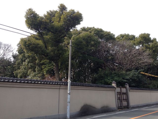 ���c���p��