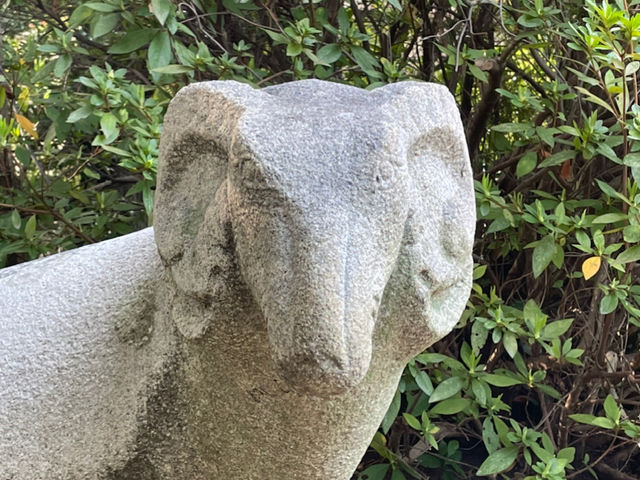 �~�n���̗r�̐Α�_�H�����p��