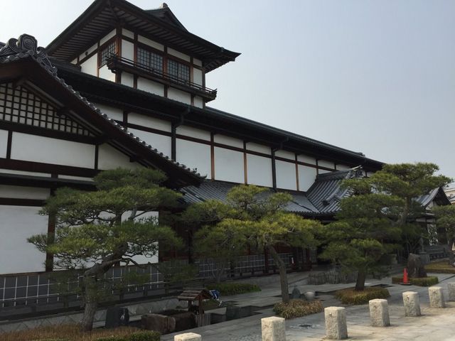 �����t���p��