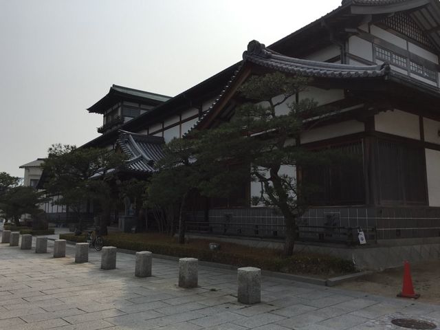 �����t���p��