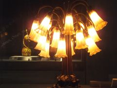 ��ˍ��R���p�ق̎ʐ^1