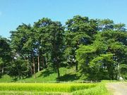 csȂyL̋uÏ㎑فEcsjق̎ʐ^3