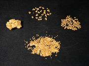 ���n���O��S�[���h�p�[�N�̎ʐ^4