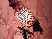 ��ˍ��R���p�ق̎ʐ^3