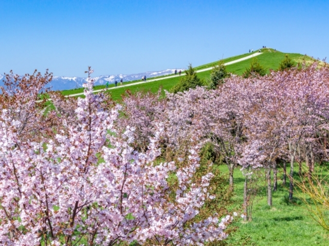 ���G��������