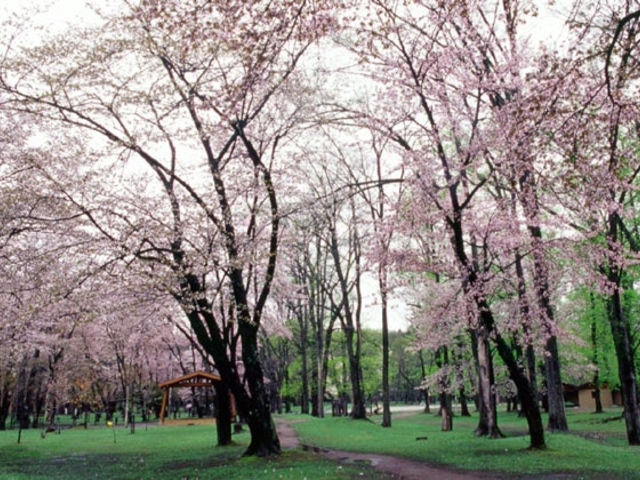 �_�y������_�_�y������