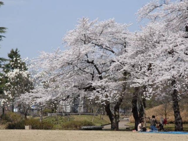 ��������������