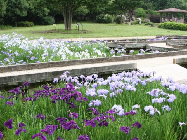 �R������i�����炬�Ҋ����j