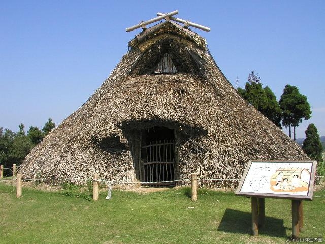 ��C���R�퐶�̗��̎ʐ^1