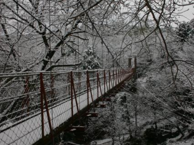 �x�͕����R����