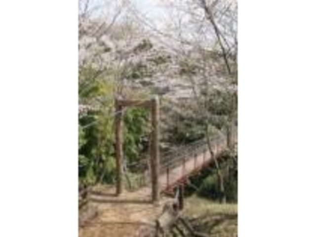 �x�͕����R����