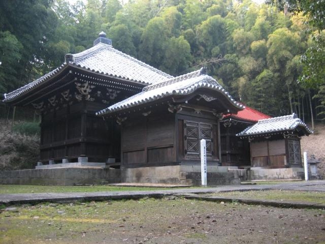 �k�����R�����̎ʐ^1