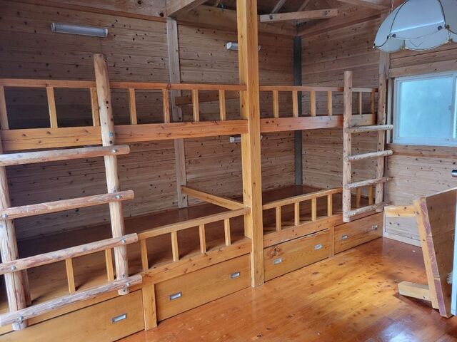 �������r�����̎ʐ^2