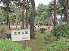 �r�Y�����̎ʐ^1