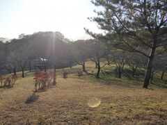 �ւ������̎ʐ^1