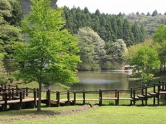 ����Ԃ̐X�����̎ʐ^1