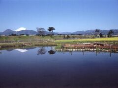 ひょうたん池の写真一覧 - じゃらんnet