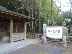 ���P�u�����̎ʐ^1