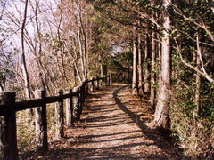 高岡山公園の写真1