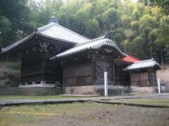 �k�����R�����̎ʐ^1