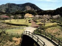 ��������̎ʐ^1