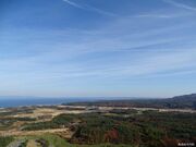 ��z�R�X�ь����̎ʐ^2