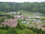 �₷�炬�̗������̎ʐ^1