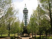 ����Ԃ̐X�����̎ʐ^1