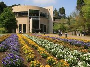 ����Ԃ̐X�����̎ʐ^2