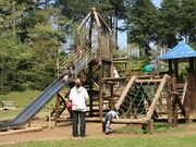 ����Ԃ̐X�����̎ʐ^3