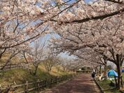 ���e�����̎ʐ^1