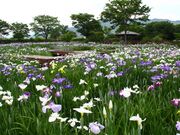 ��a���������̎ʐ^1