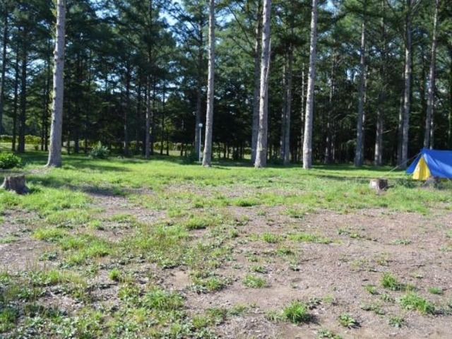 ��В��c�L�����v��̎ʐ^1