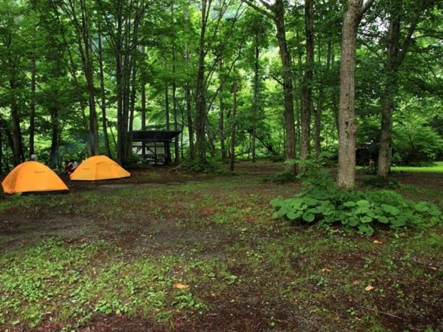 ��c�L�����e�����̎ʐ^1