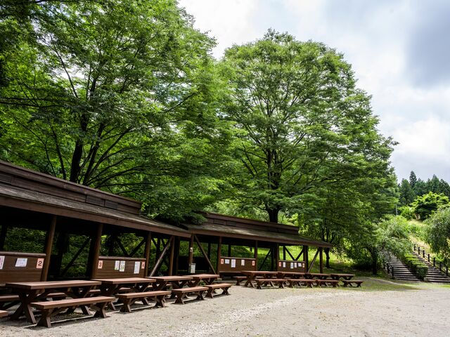 ���c���X�ь����̎ʐ^1