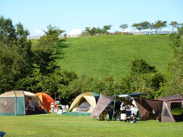 �l�X�ȃT�C�g���������܂��B_�O�͍����L�����v��