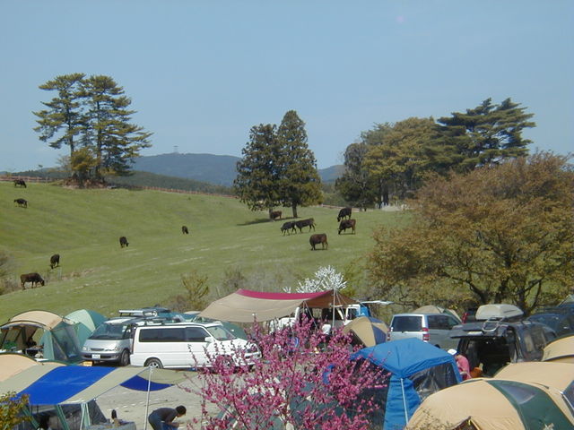 �q��ɗאڂ���T�C�g_�O�͍����L�����v��