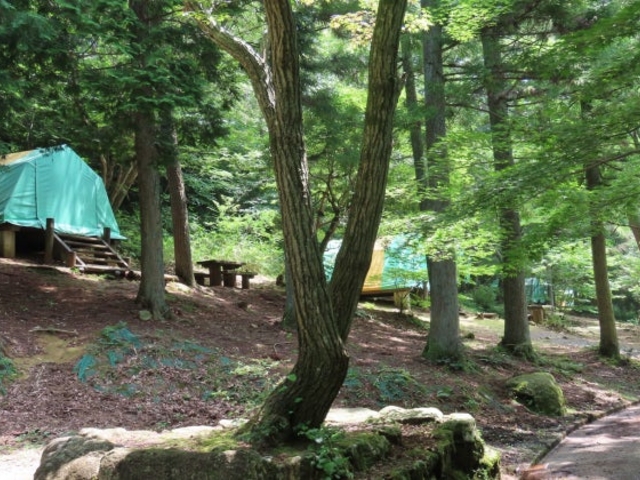 �Ɋy���R�L�����v��̎ʐ^1